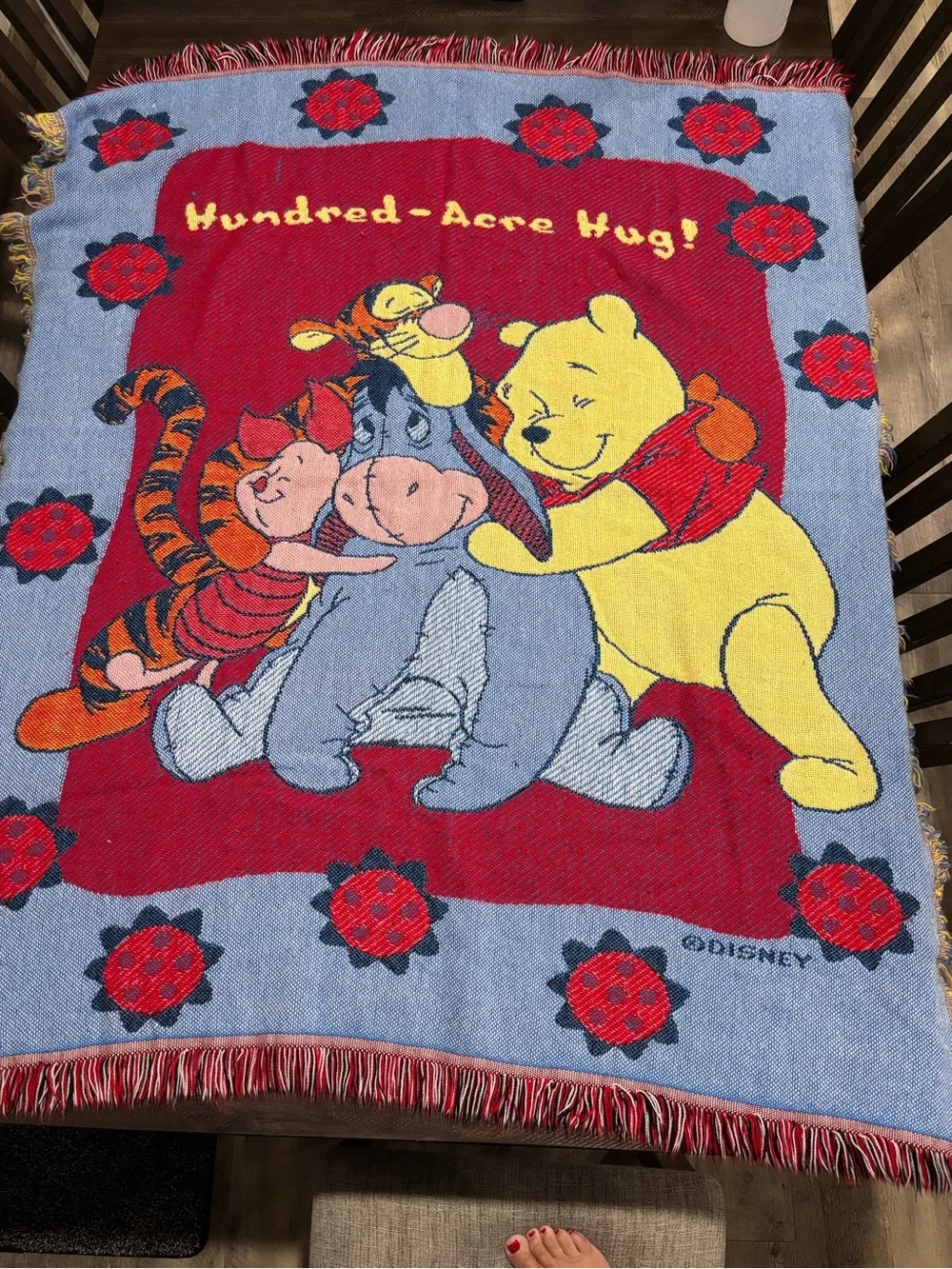 Disney Winnie the Pooh Red, Blue & Yellow Hundred-Acre Hug Throw Blanket